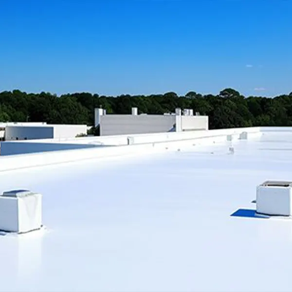 Img-RausaRoofing-Service-ROOF-TYPES-Flat Roof